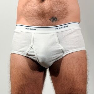 Fruit of the Loom Men's Classic White Briefs
